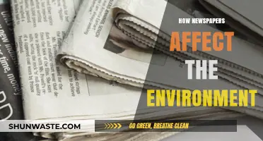 Newspapers' Environmental Impact: Recycling, Deforestation, and Sustainable Alternatives