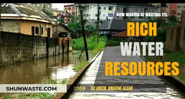 Nigeria's Untapped Potential: Squandering Abundant Water Resources and Opportunities