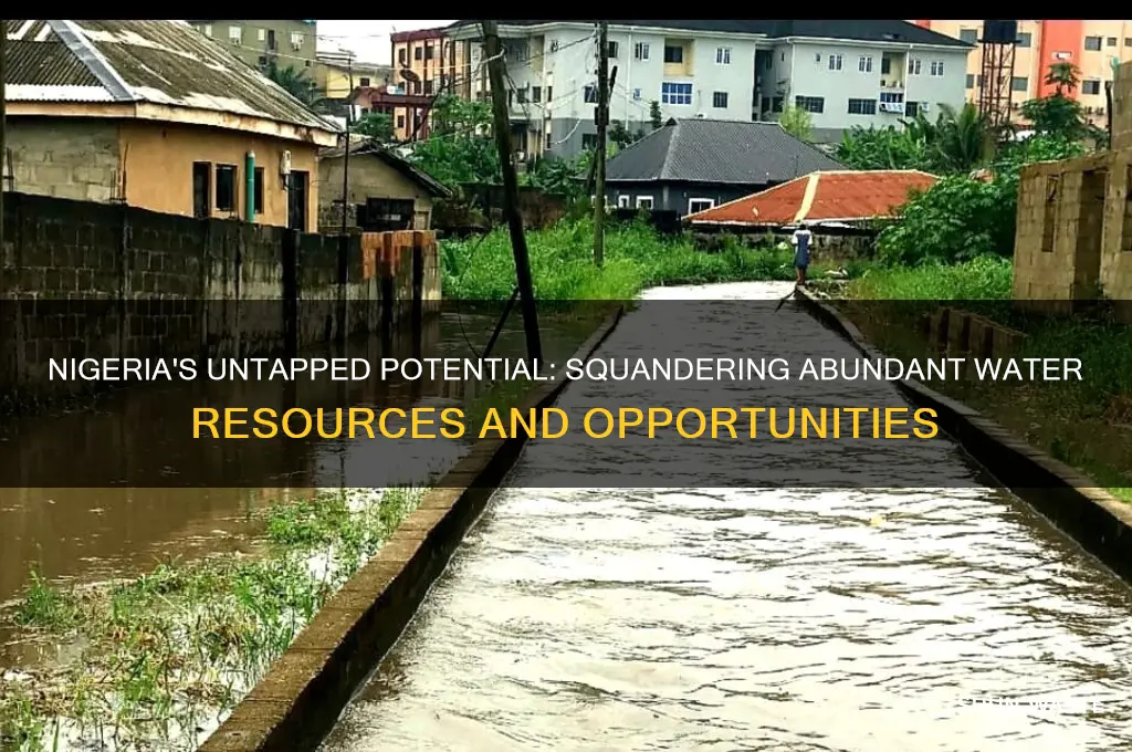 how nigeria is wasting its rich water resources