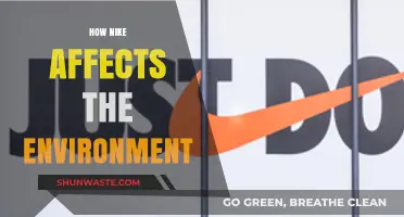 Nike's Environmental Impact: Sustainability Efforts and Challenges Explored