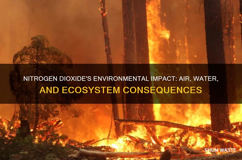 how nitrogen dioxide affects the environment