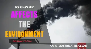 Nitrogen Oxide's Environmental Impact: Pollution, Climate Change, and Ecosystem Threats