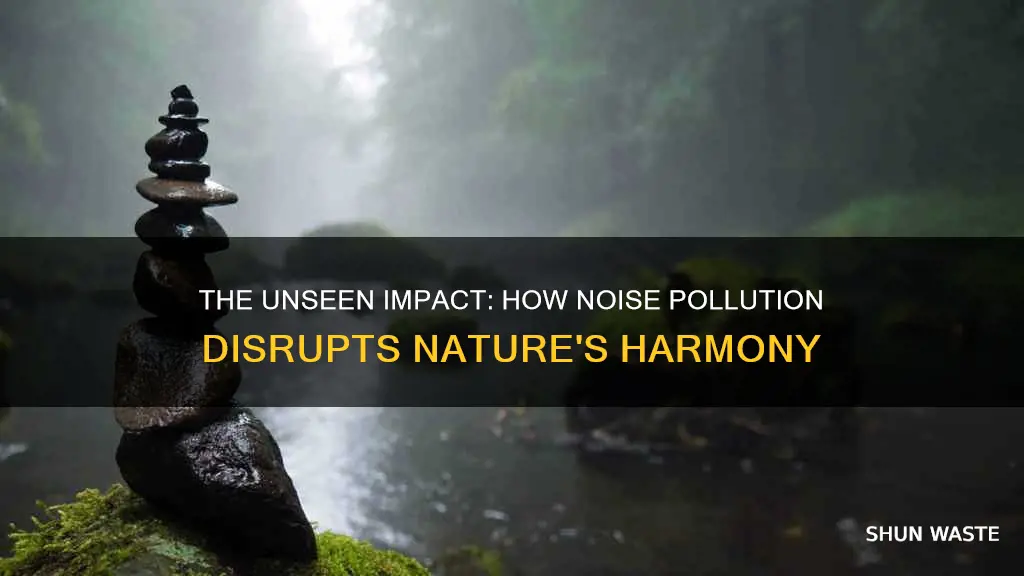 how noise pollution can harm landscape