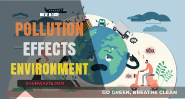 Noise Pollution: Harming the Environment and Our Health