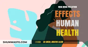 Noise Pollution: Harmful Effects on Human Health