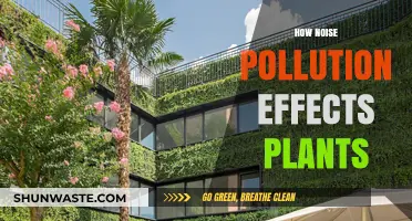 Noise Pollution: Plants Under Threat