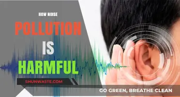 Noise Pollution: Harmful Effects and Solutions