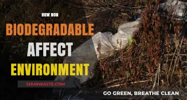 Non-Biodegradable Waste: Environmental Impact and Sustainable Solutions