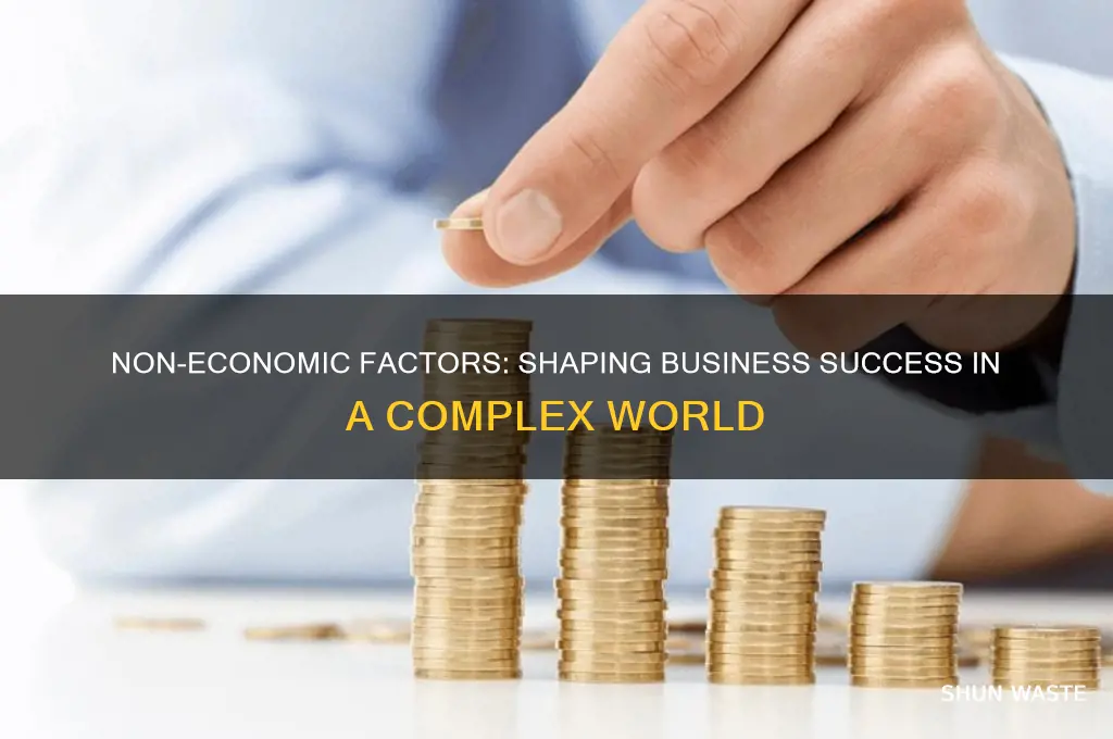 how non economic environment affect business