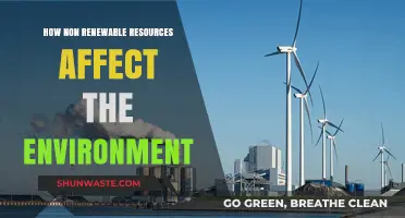 Non-Renewable Resources: Environmental Impacts and Urgent Need for Change