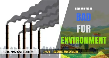 Meat’s Environmental Impact: How Non-Veg Diets Harm Our Planet