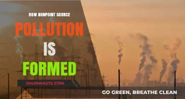 Understanding Nonpoint Source Pollution Formation