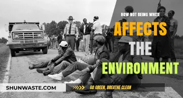 Non-White Perspectives: Unveiling Environmental Impacts of Racial Inequality