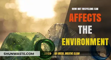 Skipping Recycling: The Devastating Environmental Consequences We Can’t Ignore