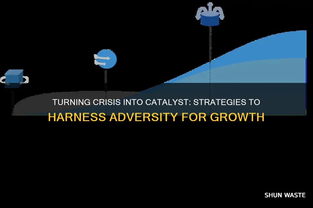 how not to let a crisis go to waste