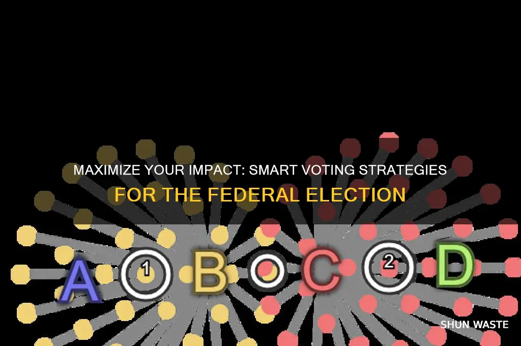 how not to waste my vote in upcoming federal election
