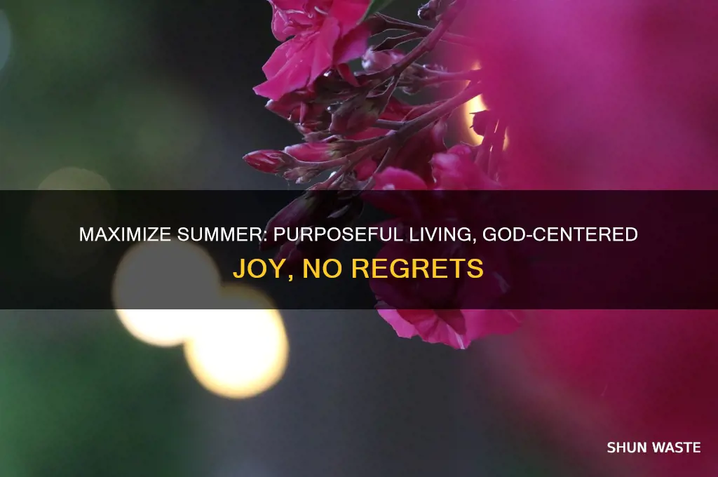 how not to waste your summer desiring god