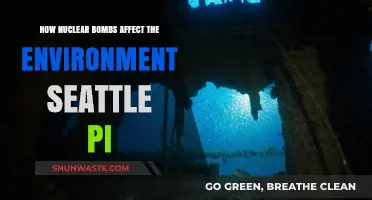 Nuclear Bombs' Devastating Environmental Impact: A Seattle PI Analysis