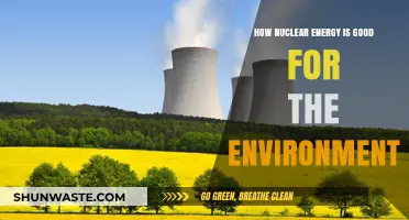 Nuclear Energy: A Clean, Sustainable Solution for Environmental Preservation