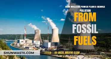 Nuclear Power Plants: Reducing Pollution from Fossil Fuels