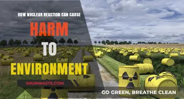 Nuclear Reactions: Environmental Hazards and Long-Term Ecological Consequences