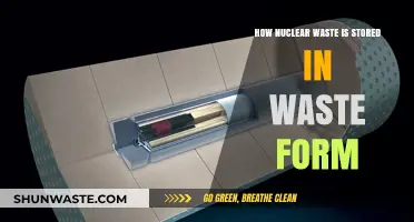 Safe Storage Solutions: How Nuclear Waste is Preserved in Waste Form