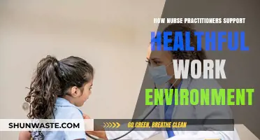 Nurse Practitioners: Cultivating Healthful, Supportive, and Productive Work Environments