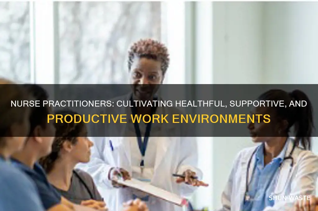 how nurse practitioners support healthful work environments
