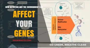 Nutrition, Environment, and Genes: Unraveling the Epigenetic Connection