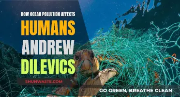 Ocean Pollution: Humans at Risk by Andrew Dilevics