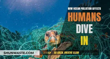 Ocean Pollution: Harming Humans, Damaging Our Health