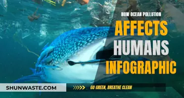 Ocean Pollution's Impact on Humans: An Infographic Overview