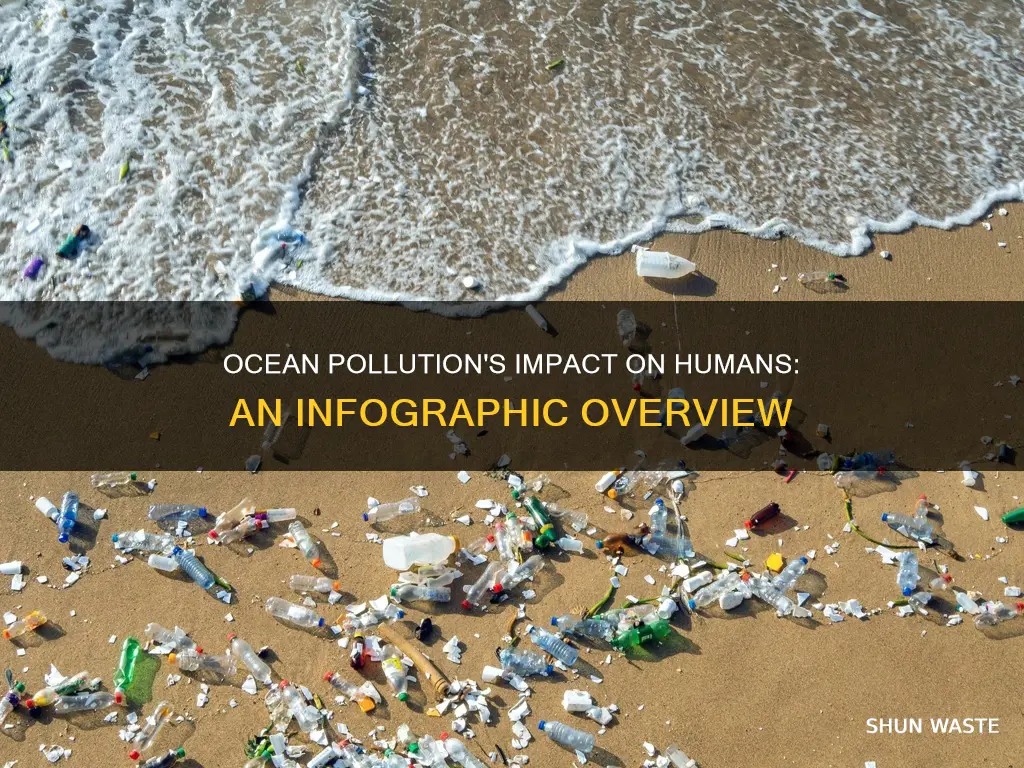 how ocean pollution affects humans infographic