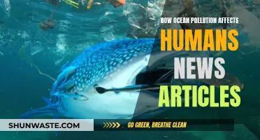 Ocean Pollution: Harming Humans, Devastating News