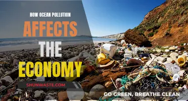 Ocean Pollution's Economic Impact: A Costly Affair