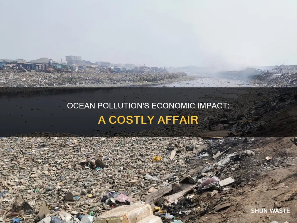 how ocean pollution affects the economy