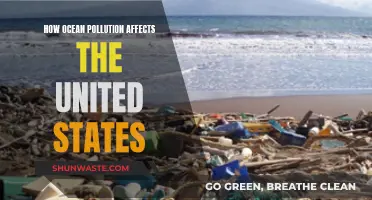 Ocean Pollution: Impacting the United States' Environment and Economy