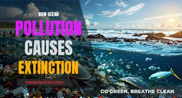 Ocean's Deadly Embrace: Pollution's Role in Species Extinction