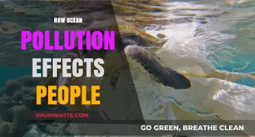 Ocean Pollution: Harming People and the Planet