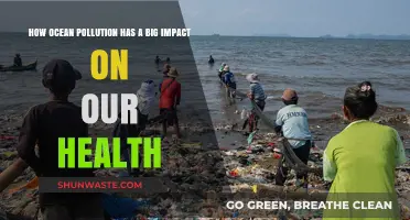 Ocean Pollution: Our Health at Risk