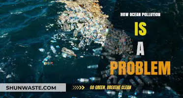 Ocean Pollution: A Growing Global Crisis