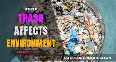 Ocean Trash Crisis: Devastating Environmental Impacts and Urgent Solutions Needed