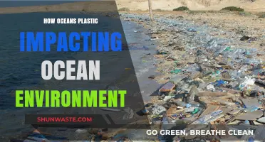 Ocean Plastic Crisis: Devastating Effects on Marine Ecosystems and Wildlife
