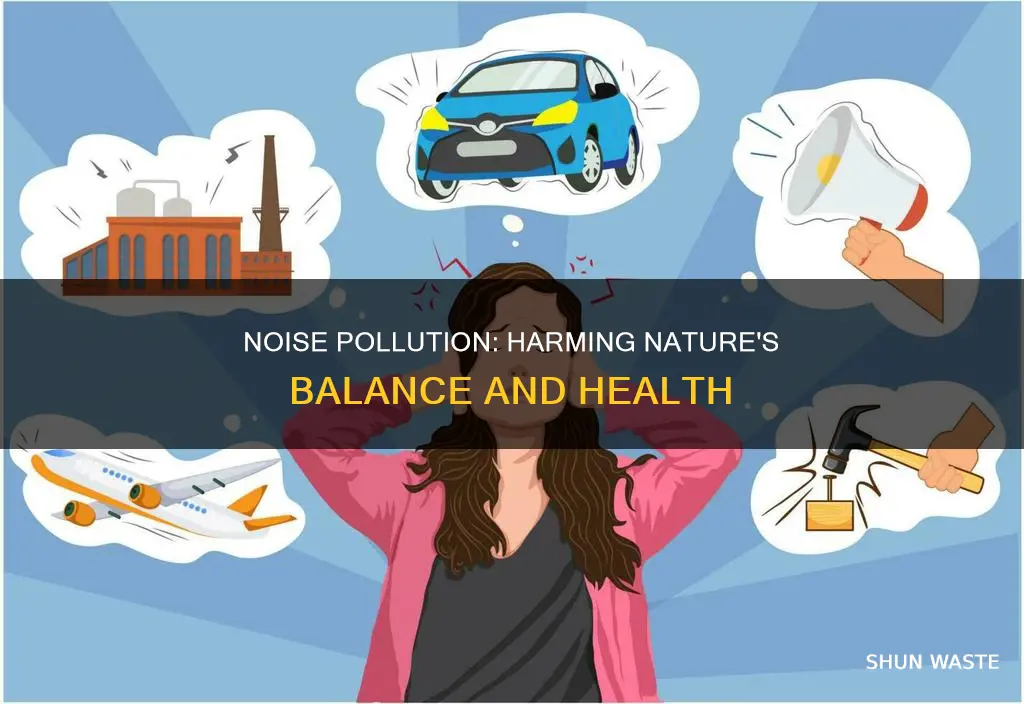 how odes noise pollution affect the enviroment