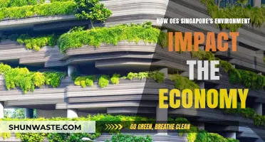 Singapore's Environment: Shaping Economic Growth and Sustainability Challenges