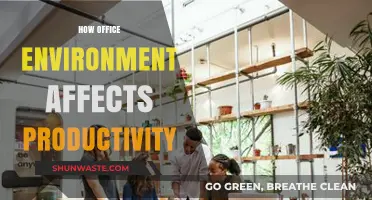 Boosting Productivity: The Impact of Office Environment on Employee Performance