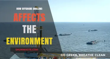 Offshore Drilling's Environmental Impact: Risks, Consequences, and Ecosystem Threats