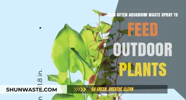Aquarium Waste Spray: Optimal Frequency for Feeding Outdoor Plants