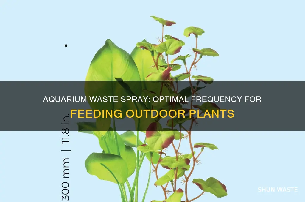 how often aquarium waste spray to feed outdoor plants