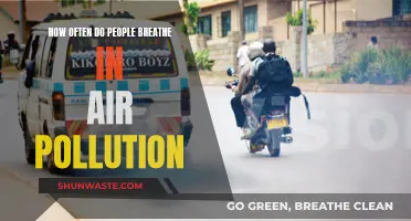 Air Pollution and Our Daily Breaths